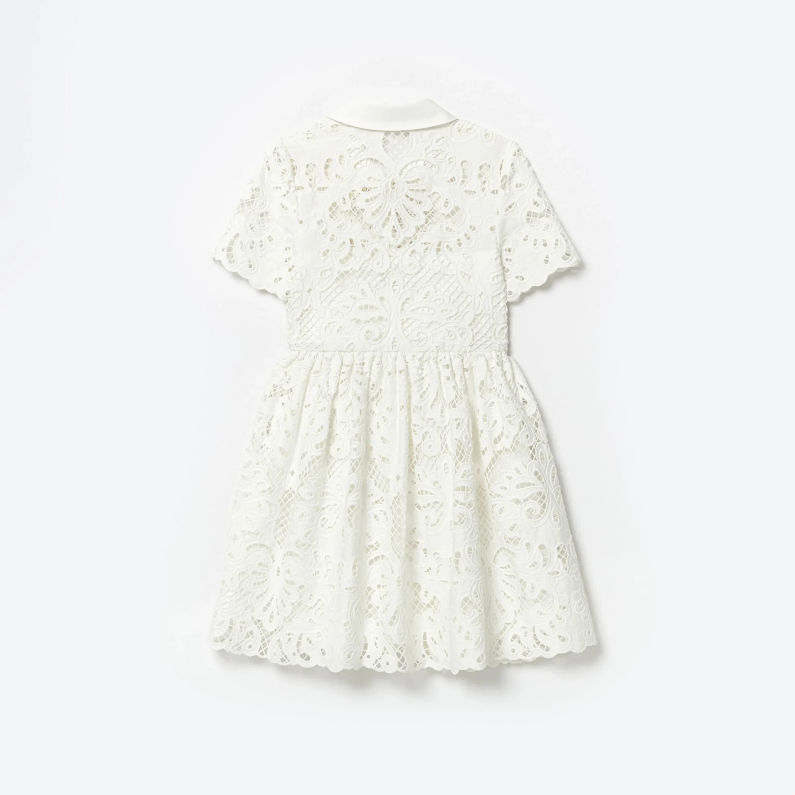 Cotton Lace Collar Mini Dress^self-portrait Hot